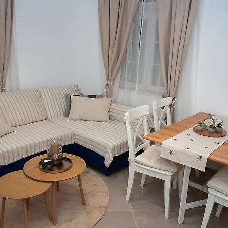 Odigitrija Old Town Apartment